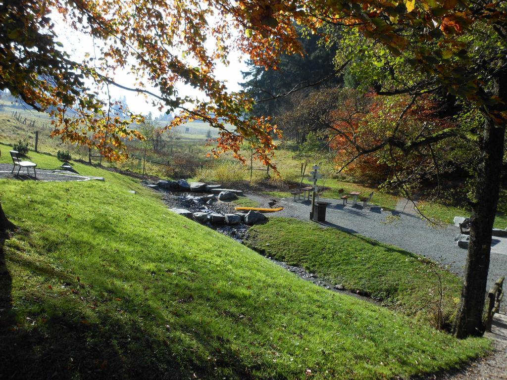 Ferienwohnungen Westfalenhof Willingen  Bagian luar foto